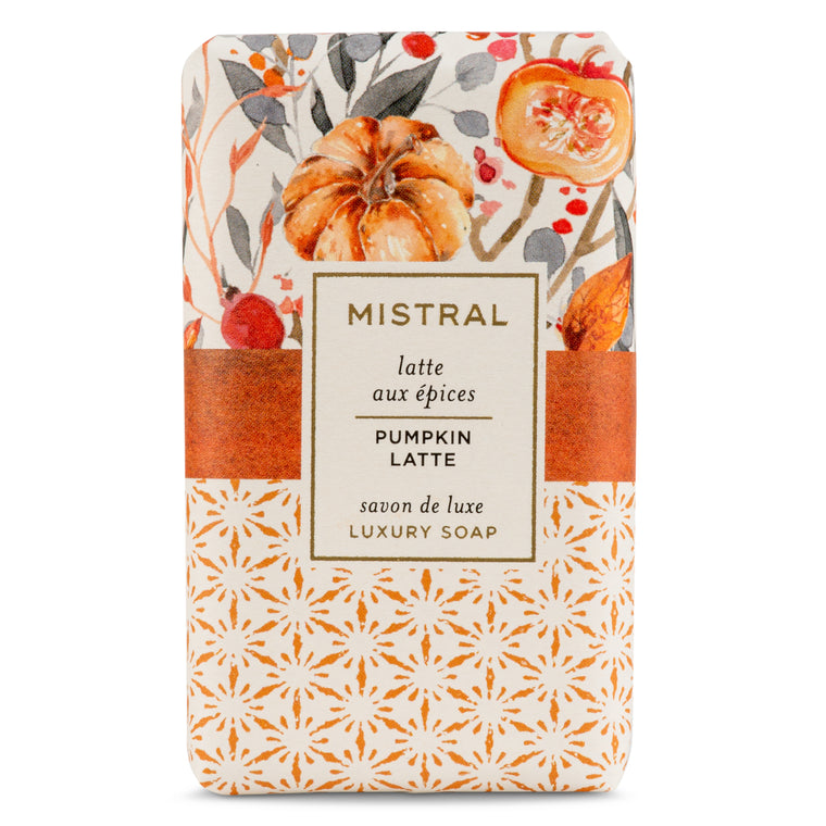 Mistral Men's Bar Soap - SLATE